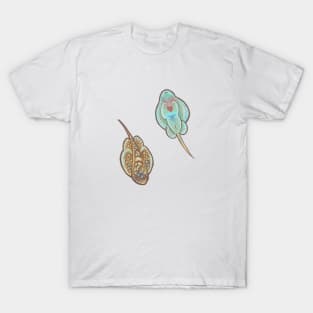 Butterfly Loach - Hillstream Loach - cute sucker fish design T-Shirt